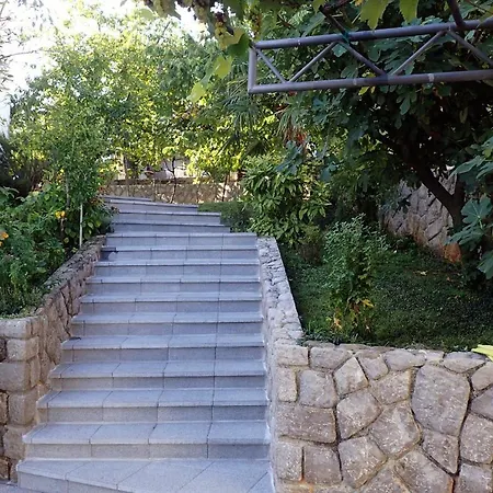 Vantacici 427d * マリンスカ